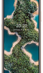 Nokia X20